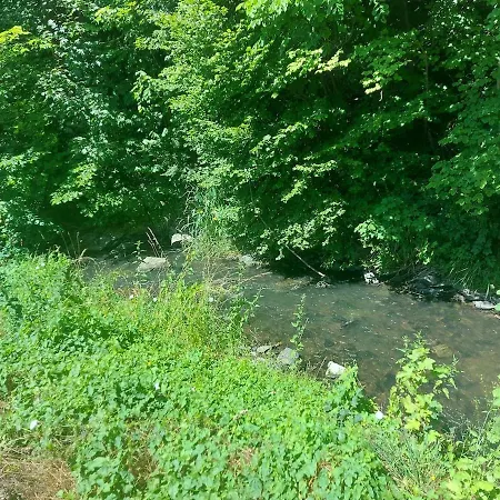 Ferienhäusschen Im Mühlengrund An Der Orla * Neuhofen