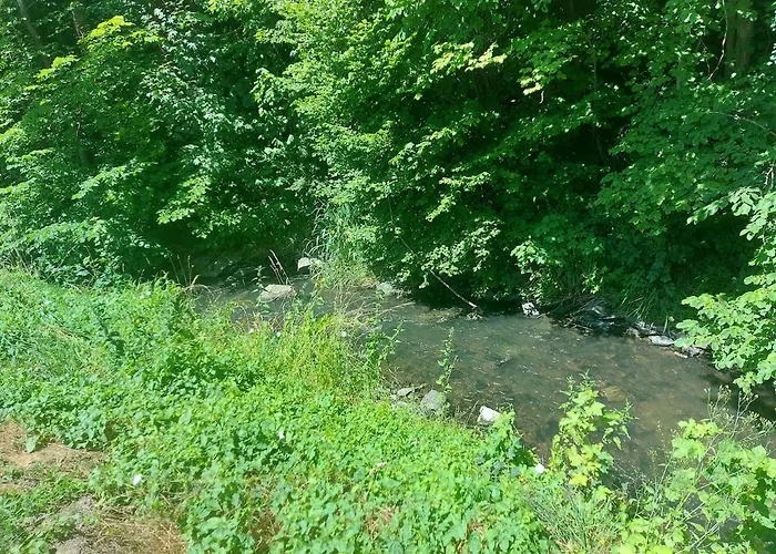 Ferienhäusschen Im Mühlengrund An Der Orla * Neuhofen